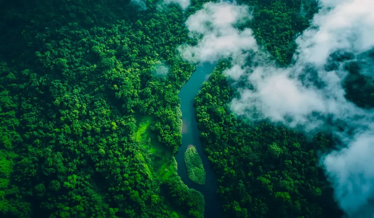 Driving Africa’s Climate Finance Readiness through GCF Partnership